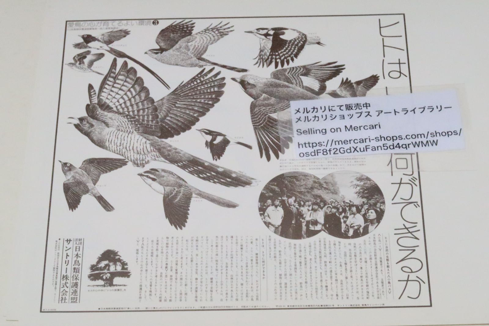 野鳥と私たち　愛鳥キャンペーン　新聞広告縮印刷版　第１〜3集 野鳥と私たち 愛鳥キャンペーン 新聞広告縮印刷版 第1〜3集 【公式通販】