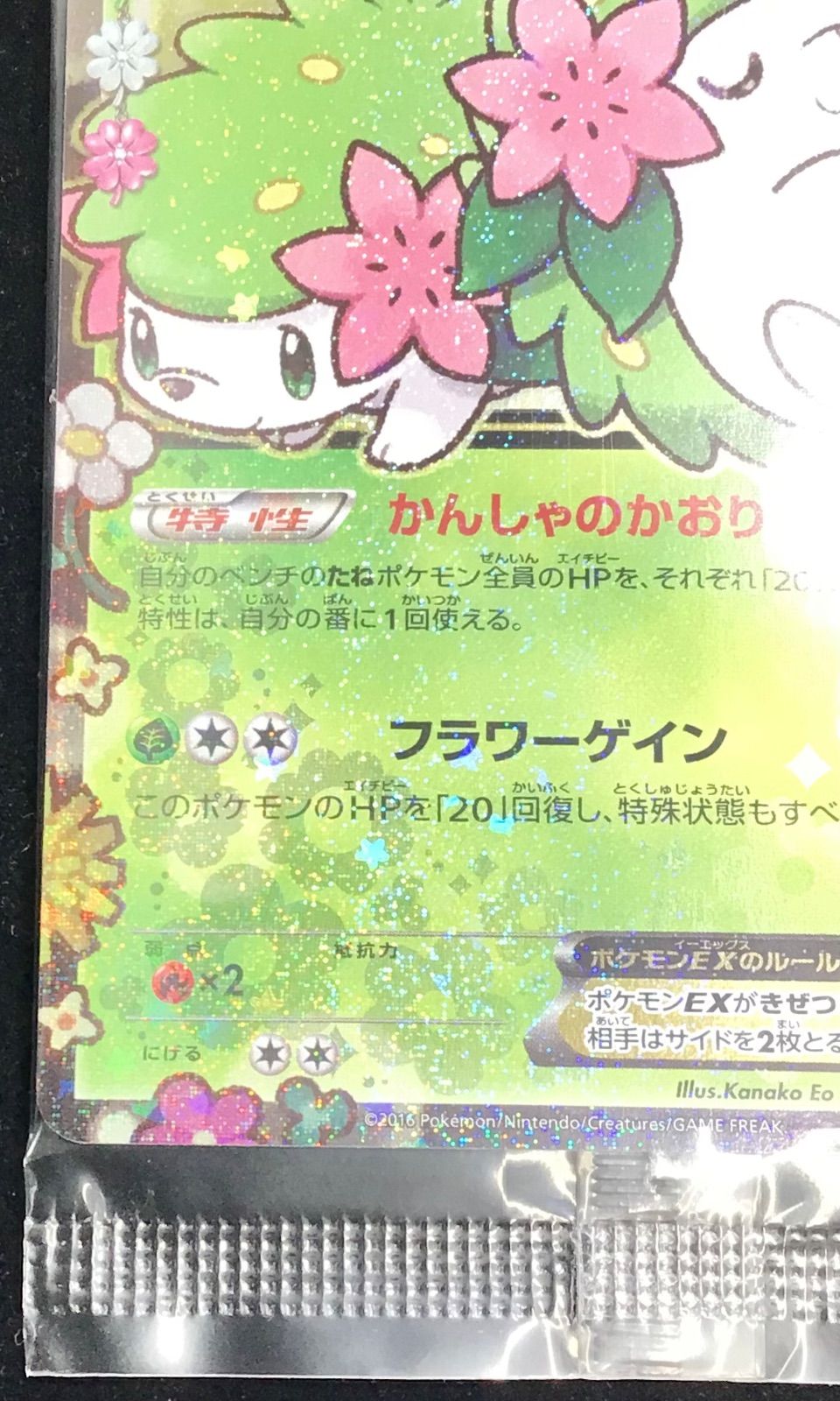 ポケモンカード　シェイミEX  プロモ　未開封