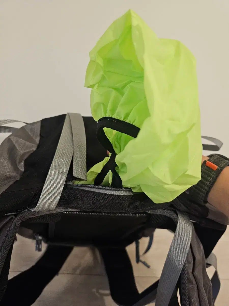 NORTH FACE