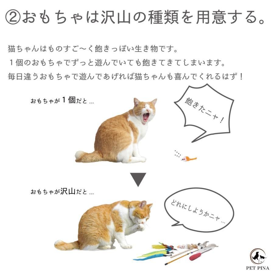 子猫
