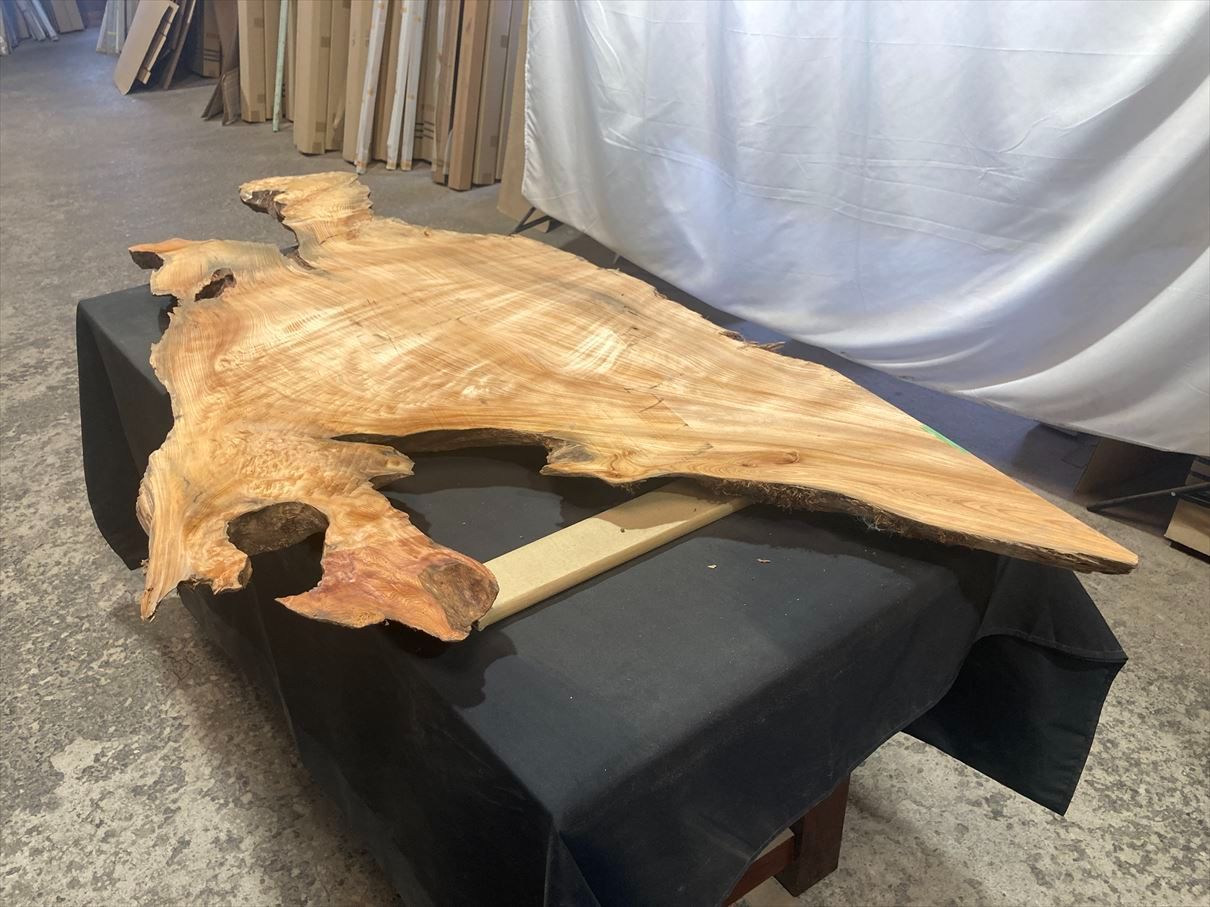 屋久杉3614　一枚板無垢　1700x640x45mm　カウンター センターテーブル　ダイニングテーブル　ウレタン塗装　屋久島　ヤク杉　世界遺産