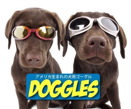 L サイズ