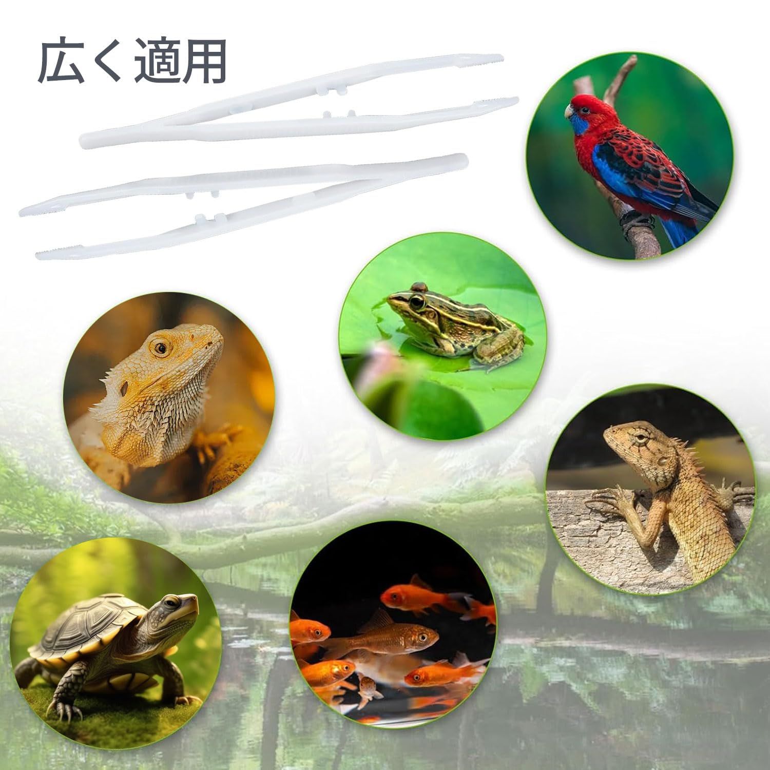 昆虫 両生類安全給餌クリップ 蜥蜴 安全ピンセット 2個入り