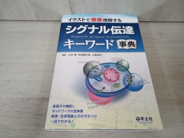 初版】 イラストで徹底理解するシグナル伝達キｰワｰド事典 山本雅