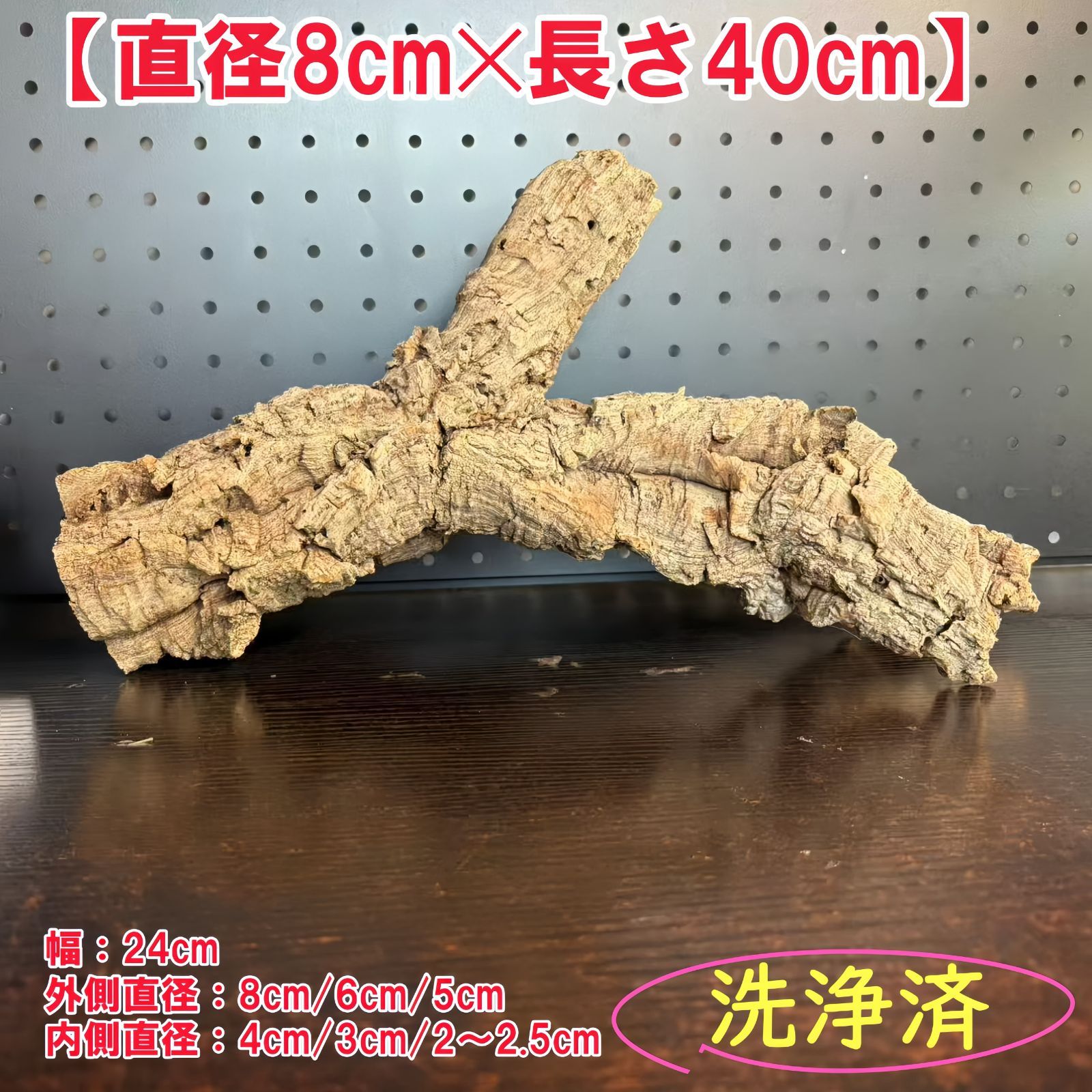 250906 ポルトガル産 キャノンコルク コルク樹皮 コルク板 バージンコルク 送料無料 チランジア ビカクシダ 着生ラン 両生類 爬虫類