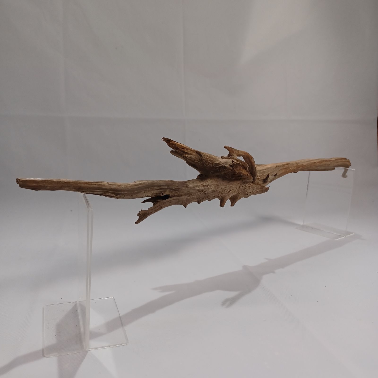 流木インテリア流木インテリア龍