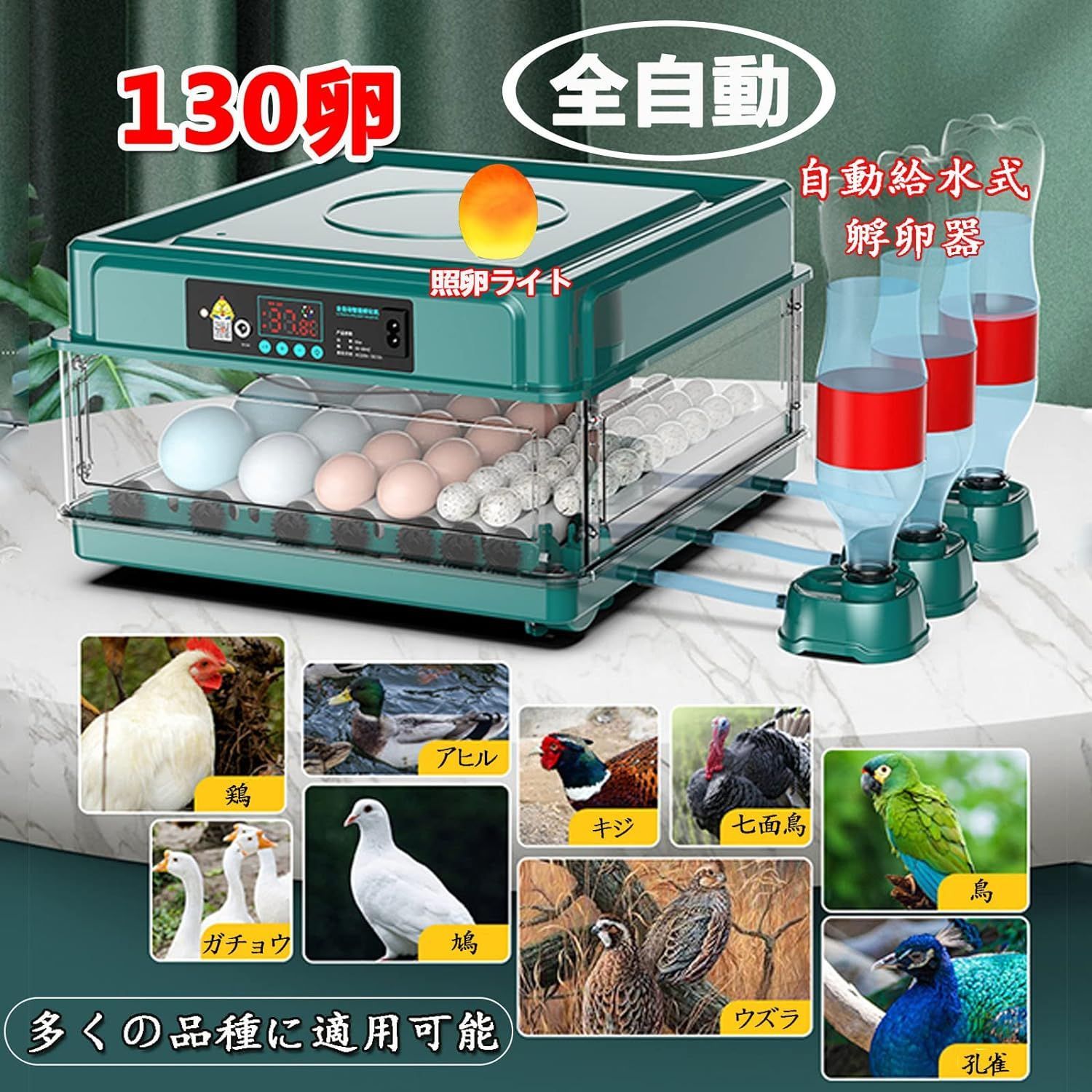 大容量 鳥類