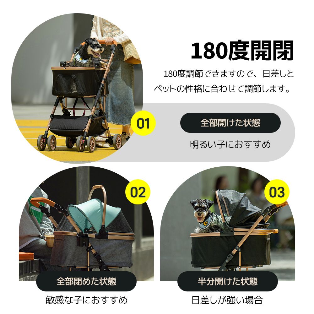 猫 動物