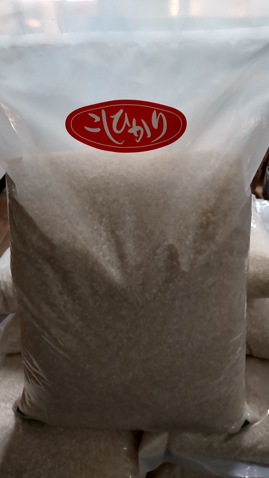 新米 令和4年度 千葉県産 コシヒカリ中粒米10kg-0