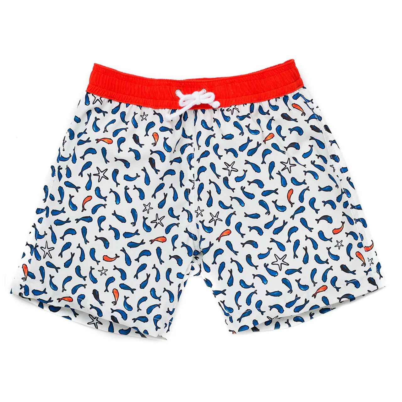 FOLPETTO 男の子 水着 TOMMASO Fish print in cobalt blue and ivory