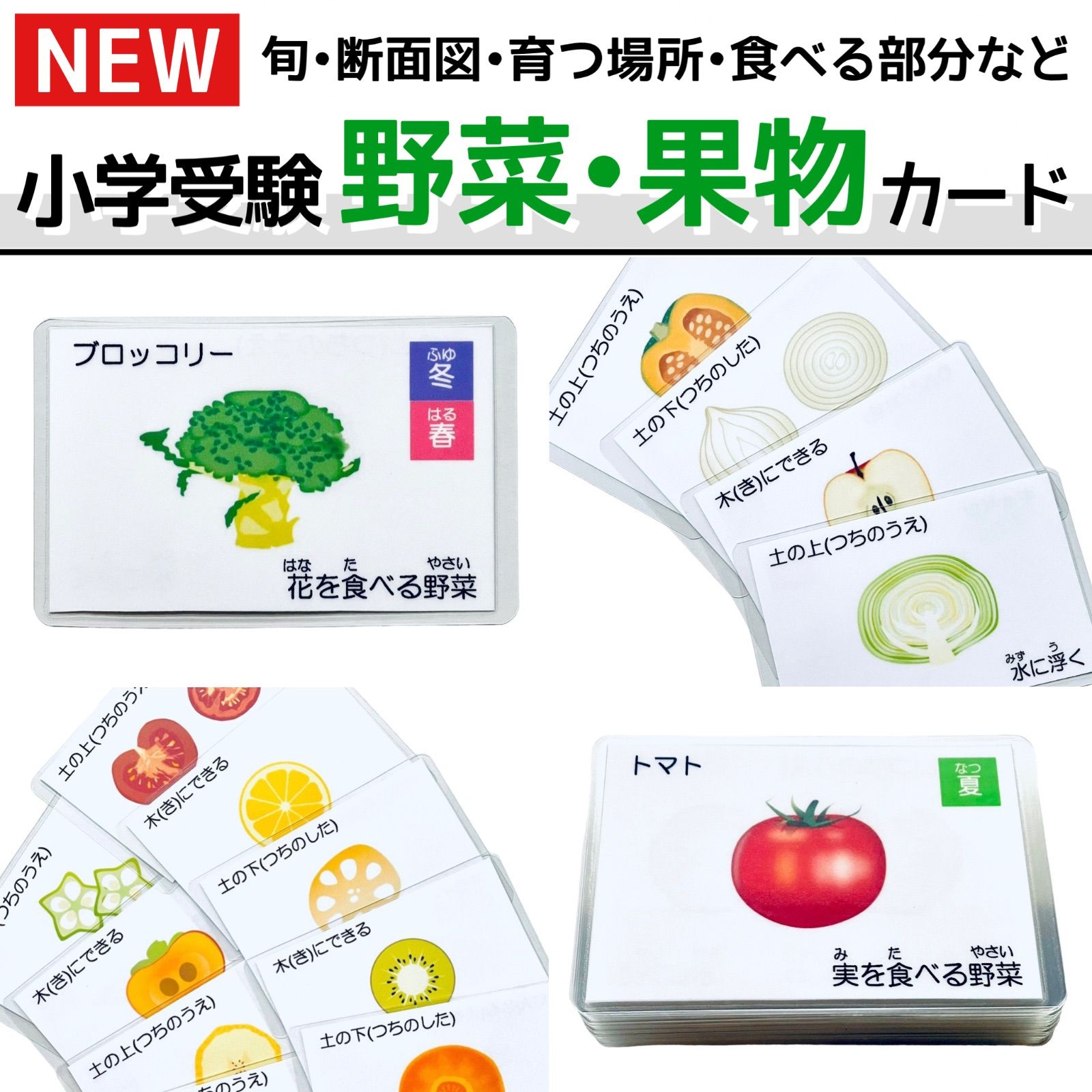 野菜・果物カード 小学校受験教材 理科的常識 幼児教育 知育 断面図 旬