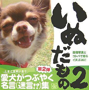 いぬだもの 2