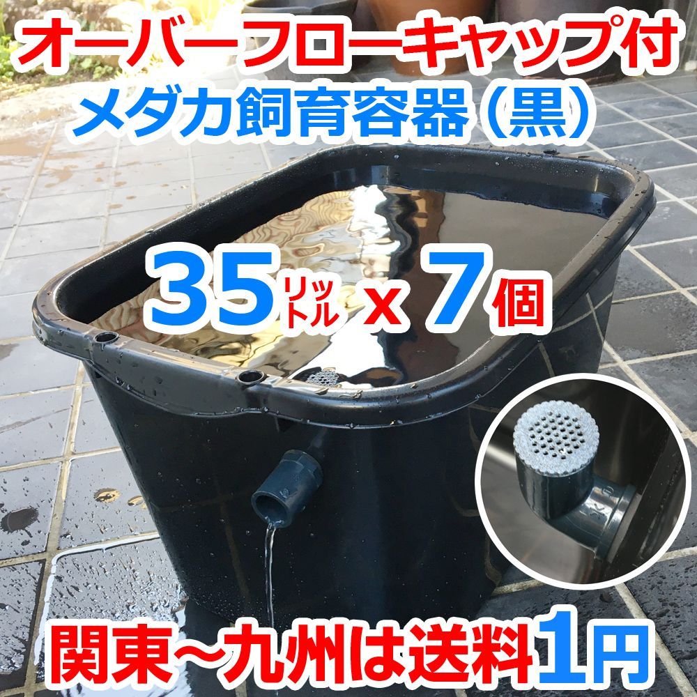 メダカ飼育ケース 35㍑黒x7個 オーバーフローキャップ付 メダカ飼育容器 メダカ飼育セット 金魚 らんちゅう 水草 ビオトープ 睡蓮 水槽 タライ トロ舟 プラケース ボックス 五色アクア