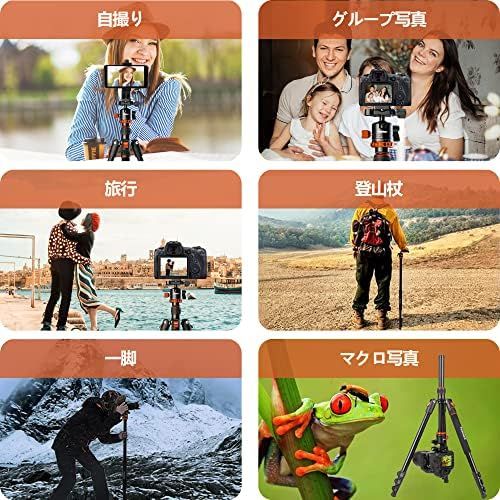 持ち運びに便利です |