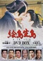 絵島生島 DVD-BOX(品)