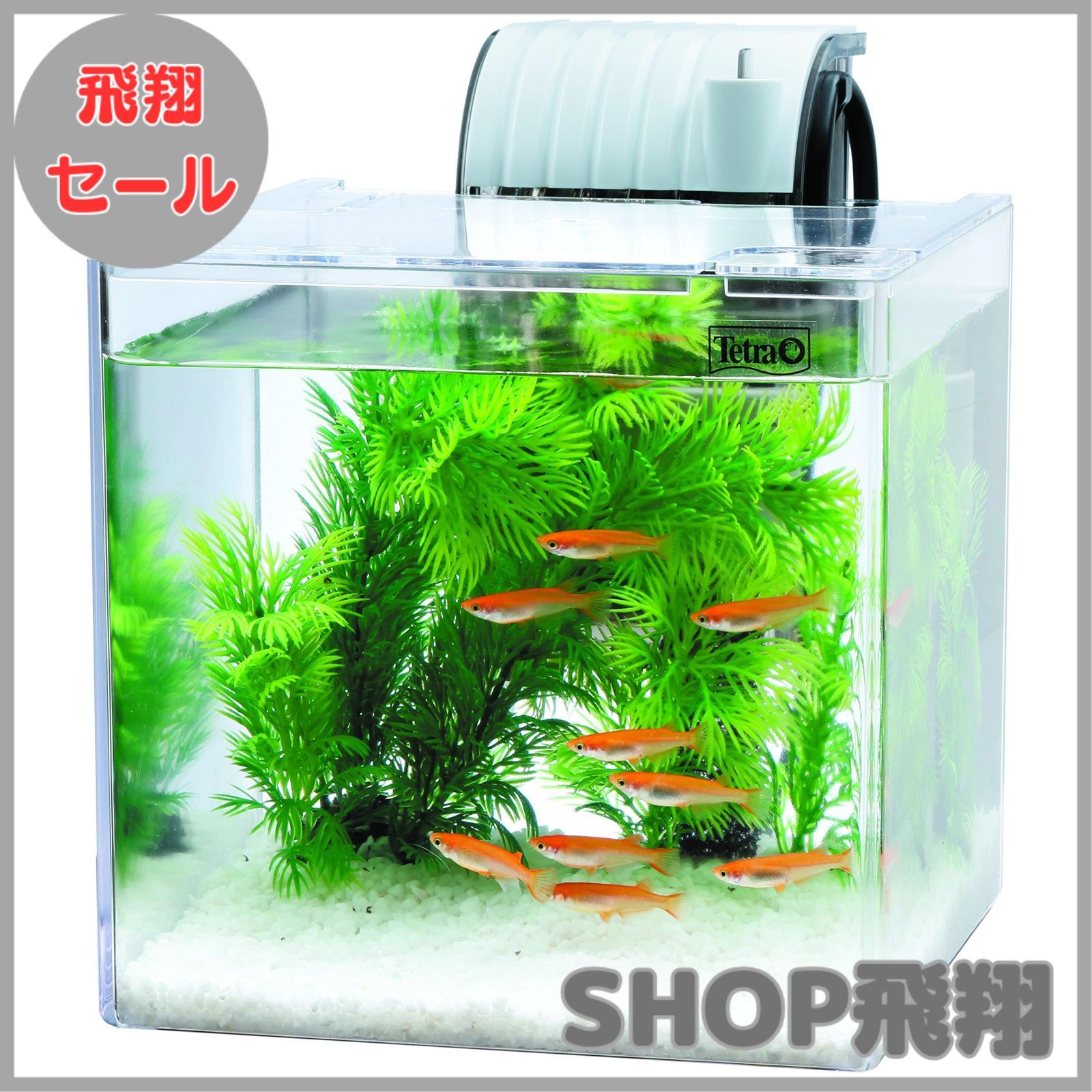 水槽　専用品　80cm Amazon | 【セット買い】ジェックス GEX メダカ元気 メダカの