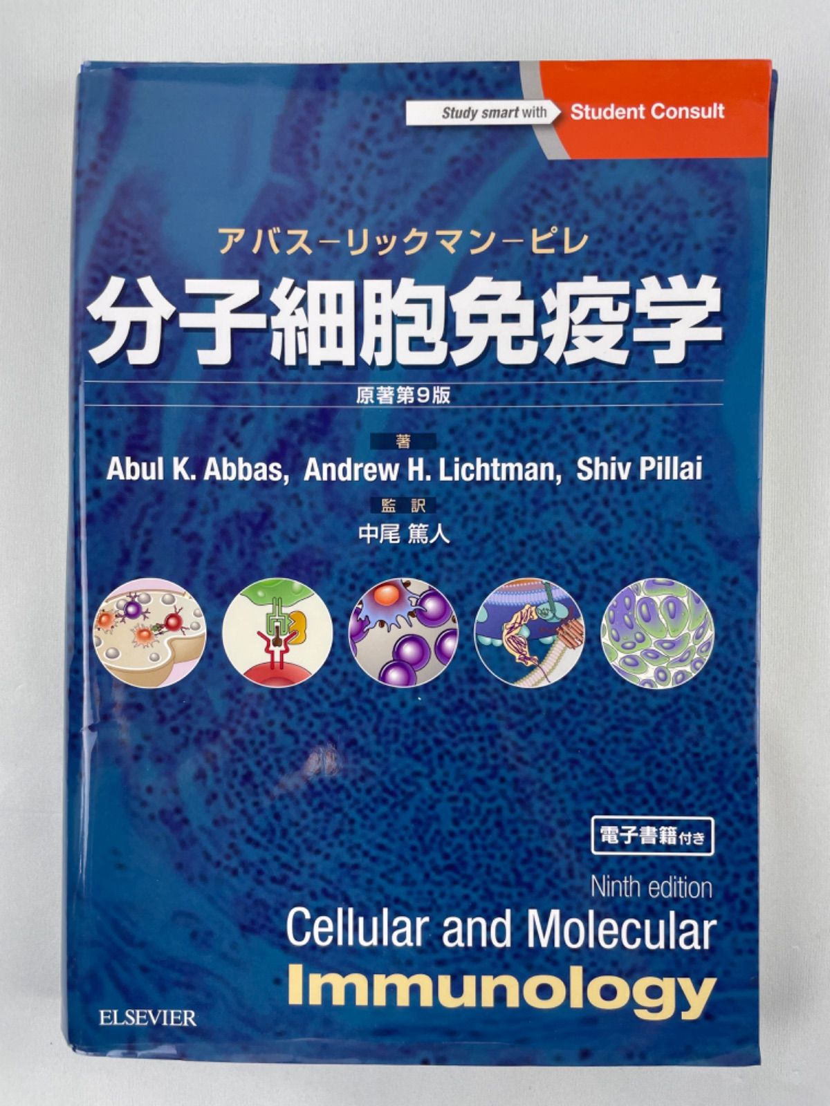分子細胞免疫学 アバス-リックマン-ピレ／ＡｂｕｌＫ．Ａｂｂａｓ／ＡｎｄｒｅｗＨ．Ｌｉｃｈｔｍａｎ／ＳｈｉｖＰｉｌｌａｉ
