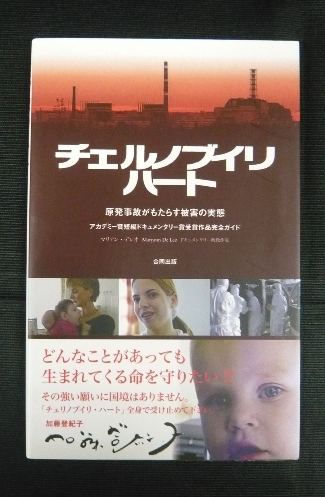 チェルノブイリ・ハート: 原発事故がもたらす被害の実態　著者/　マリアン・デレオ　【Re-798-Y】