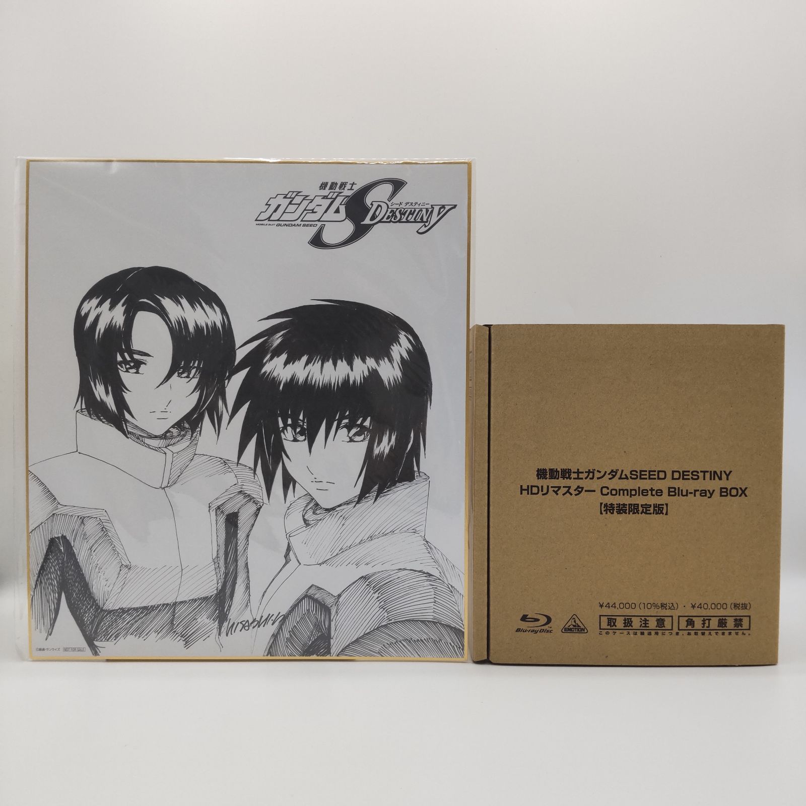 機動戦士ガンダム SEED DESTINY 特典 色紙 布ポスター
