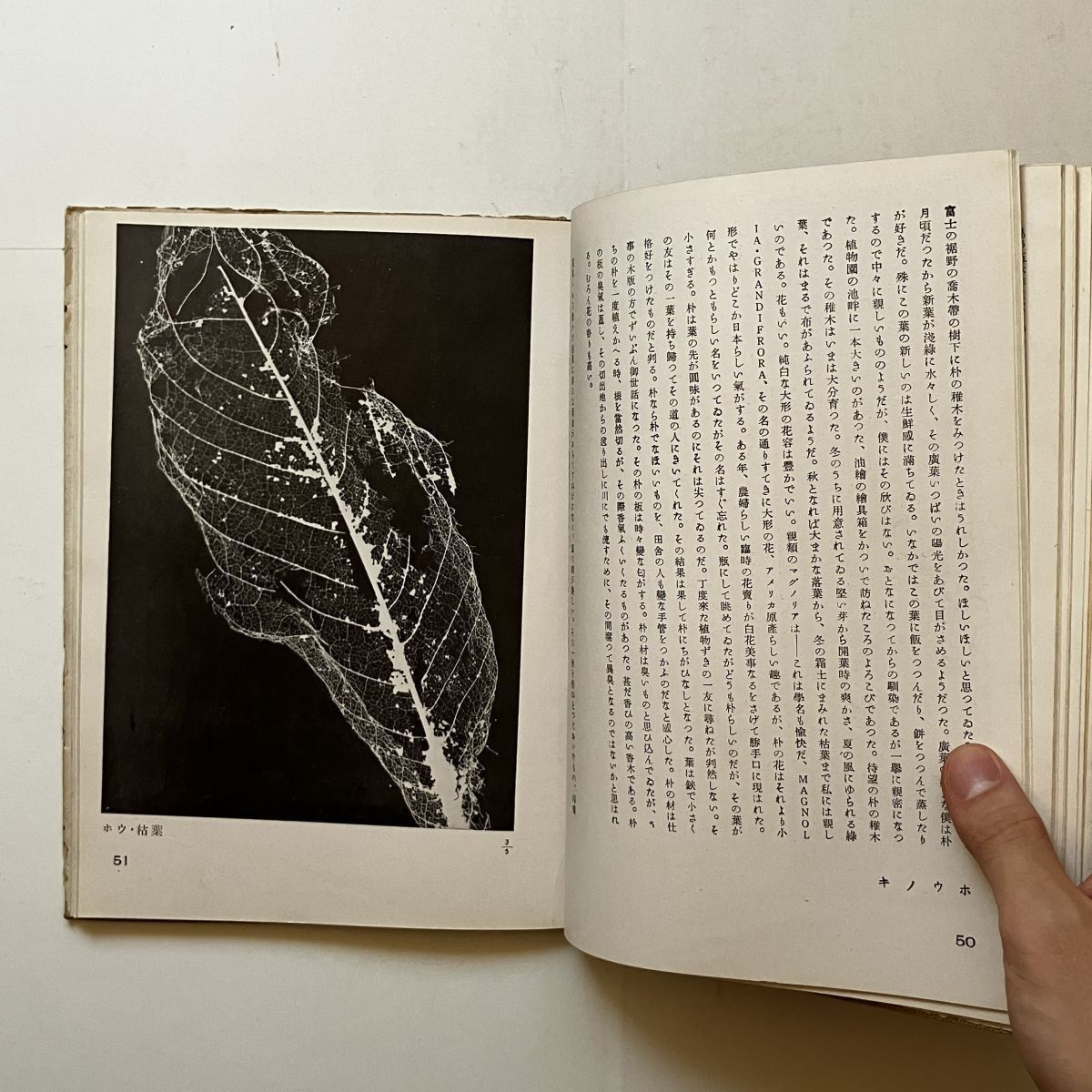 恩地孝四郎貴重書「博物志 : 寫眞・随筆」玄光社 1942年 141p 12いyn