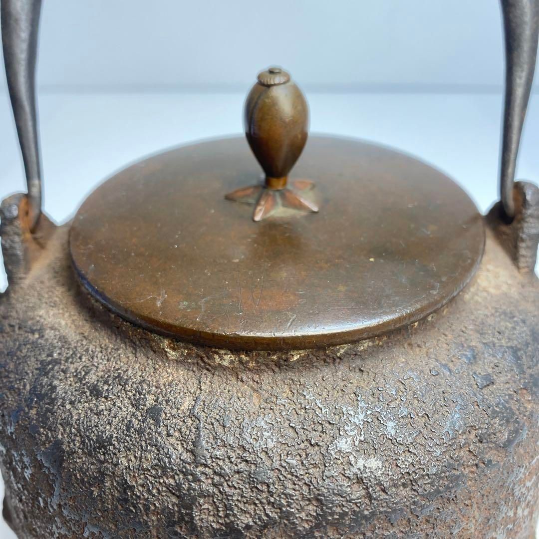 東Y6-0531 トコヒ