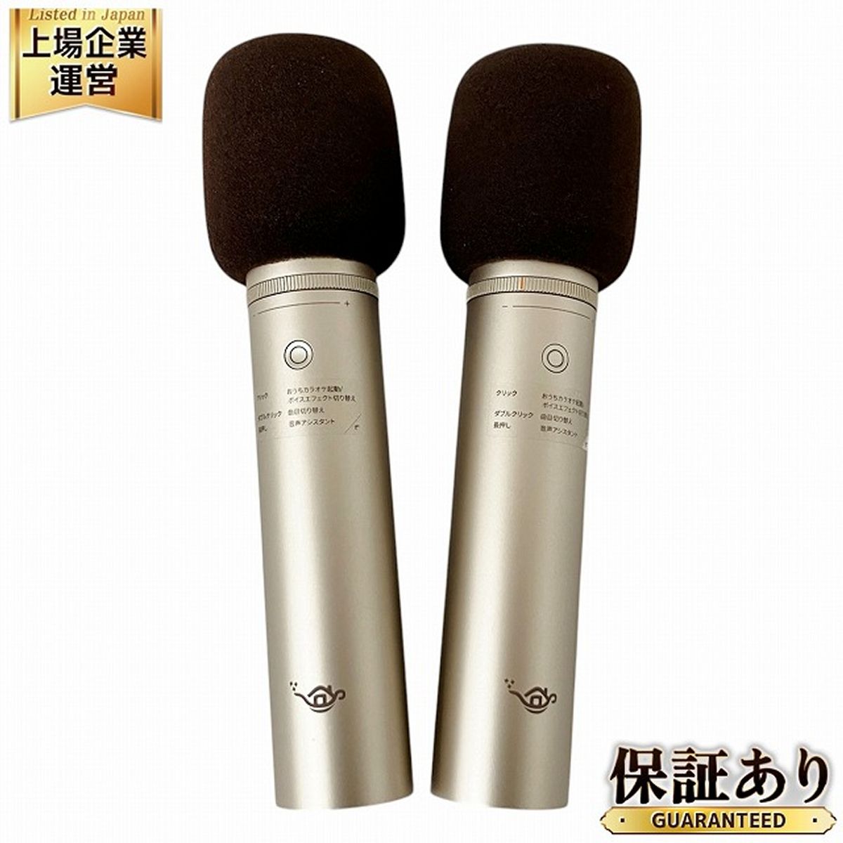 Aladdin Mic 2 アラジン マイク2 Aladdin Mic 2 カラオケマイク 2本