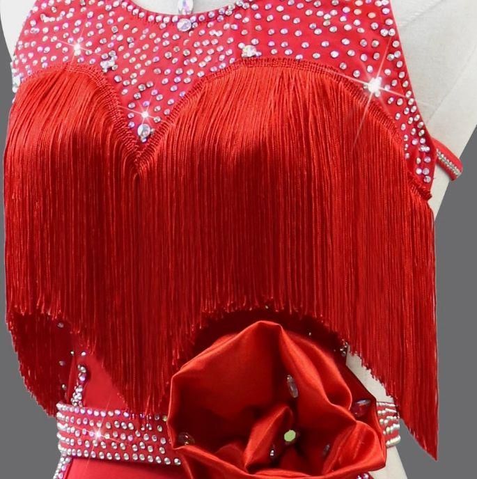 ラテンドレス ダンス ワンピース フリル ストーン オーダーメイド ラテンドレス ダンス ワンピース フリル ストーン オーダー