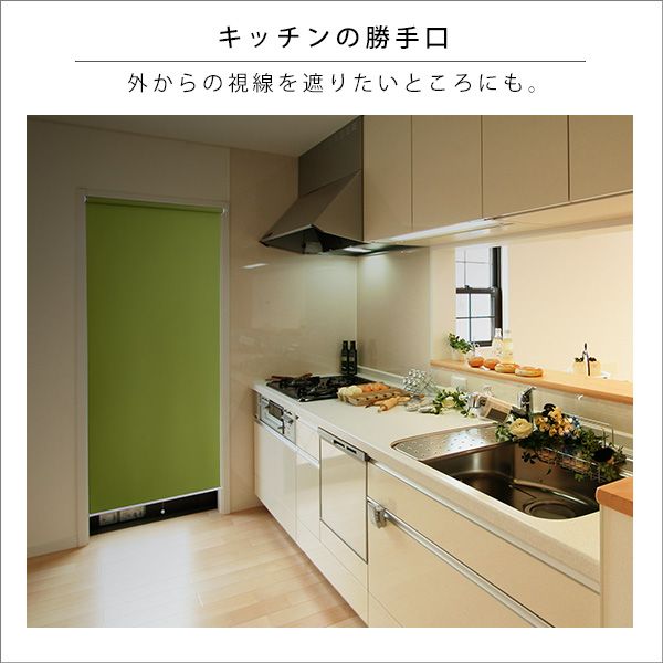 遮光タイプ