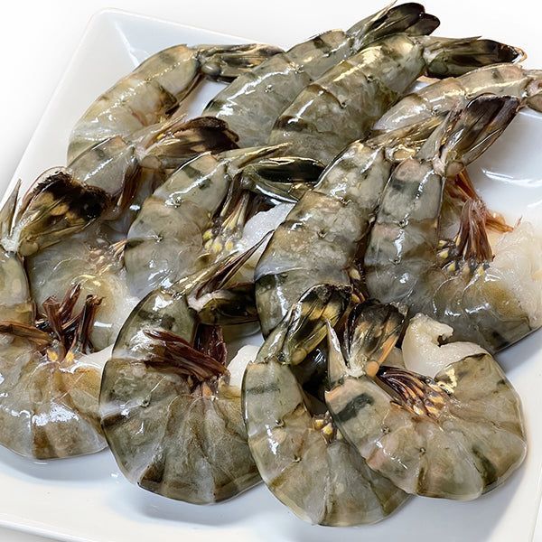 その他 ADIZERO SL 26.0cm 正規取扱店 SHAKA (シャカ) SK-101 HIKER ストラップ グルカサンダル