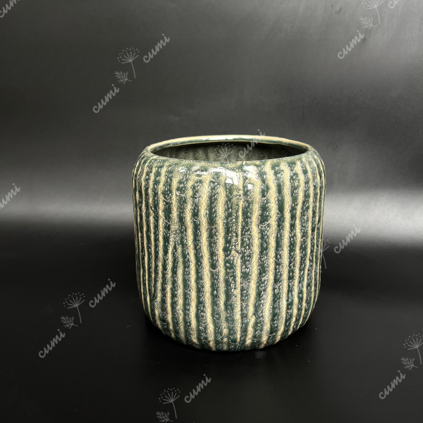 SERAX(セラックス) サボテンベース サボテン ベース | おしゃれな家具通販・インテリアショップ リグナ