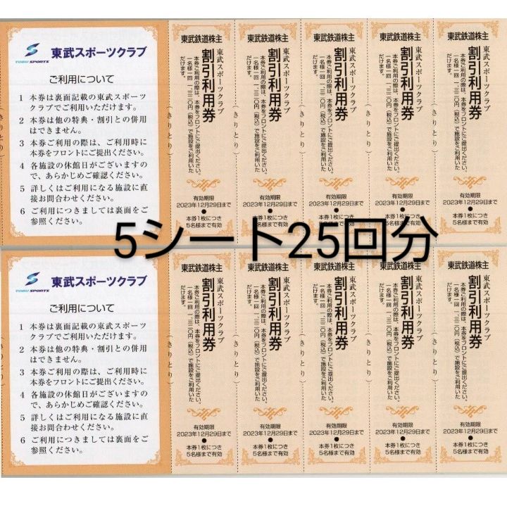 東武鉄道 株主優待 乗車券 10枚 2023/12/31まで有効 - 乗車券、交通券