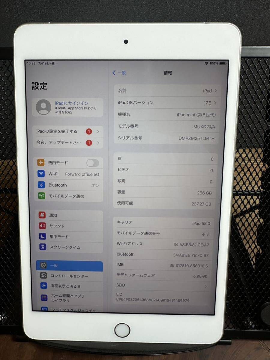 Apple iPad mini (5世代)/ 256GB/Wi-Fi +SIMフリー /cellular