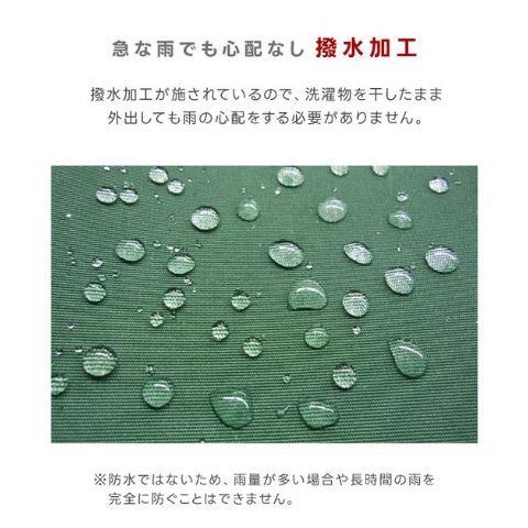 物干竿付オーニング 3ｍ TAN-734-30 ブラウン STEELWINDOWSANDDOORS_COM