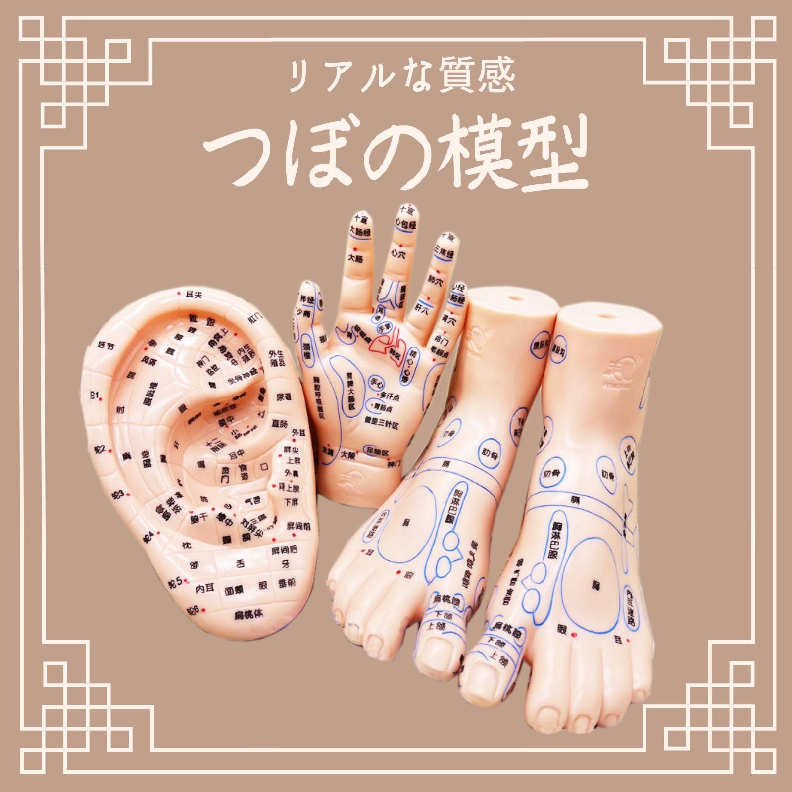 mamota 手の模型 手のつぼ つぼ模型 鍼 鍼灸 整体 PVC 手 ハンドモデル