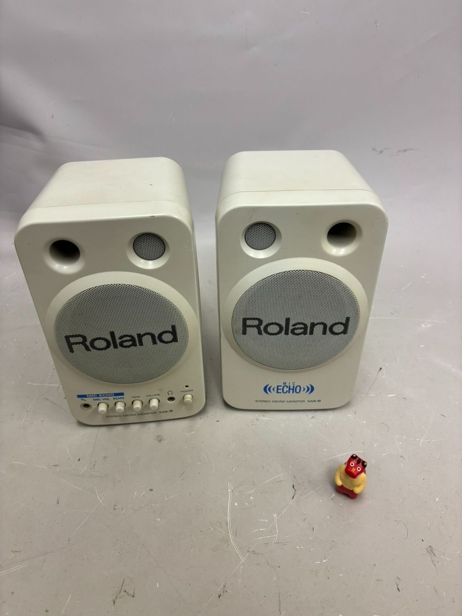 希少動作品！Roland ローランド パワード・モニター DS-7 2本セット 希少動作品！Roland ローランド パワード・モニター DS-7 2本