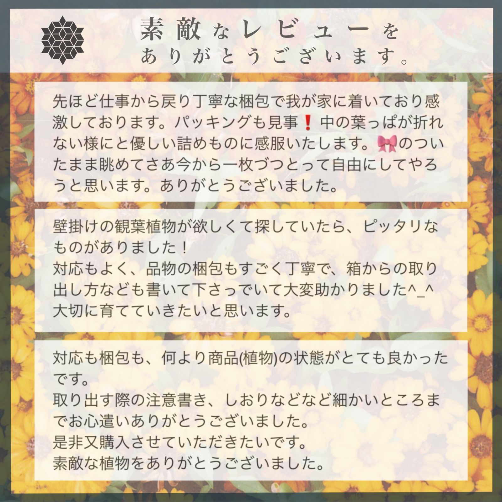 こんな色、探してました。】? 高麗青磁・趙京青磁民族陶芸・趙奉洙 