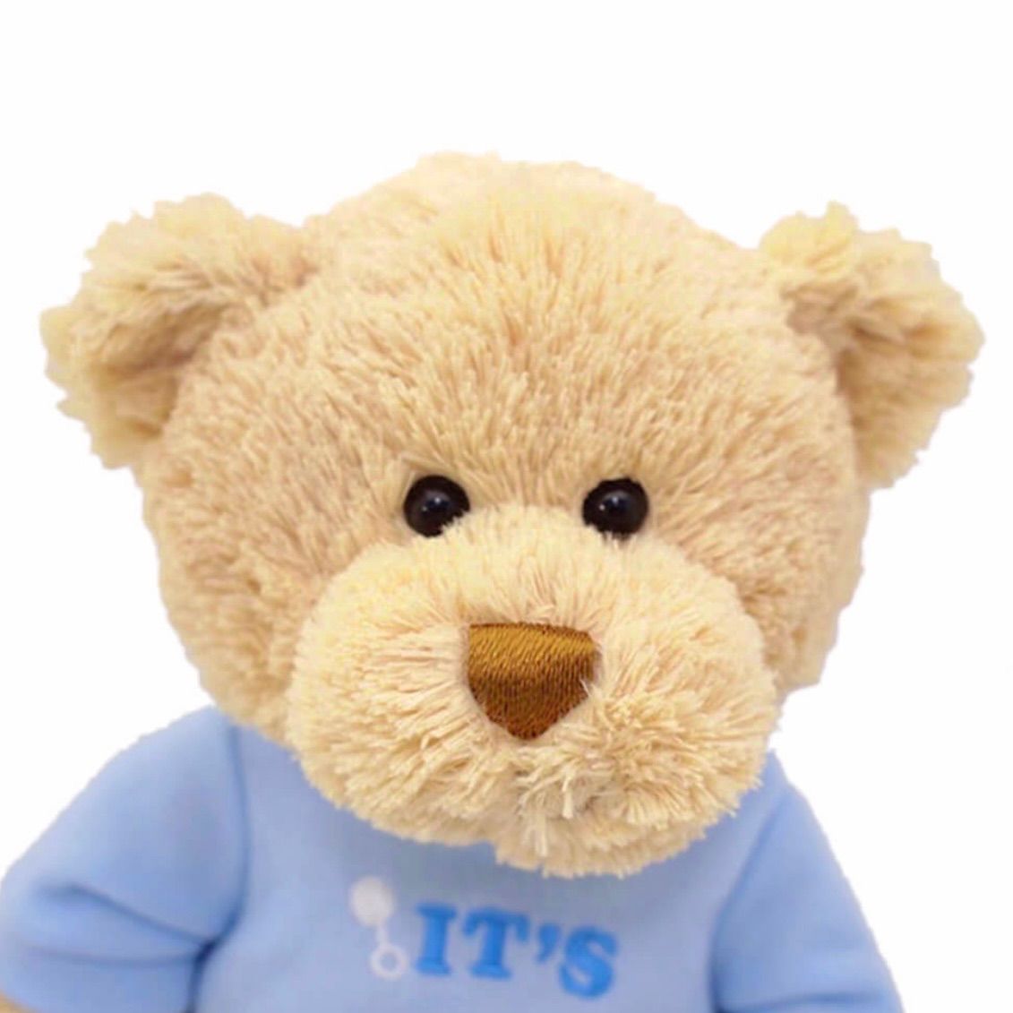 ぬいぐるみ BOYSANDMEN boys and men ボイメン　テディベア 楽天市場】【ギフトボックス込】シュタイフ ぬいぐるみ 30cm