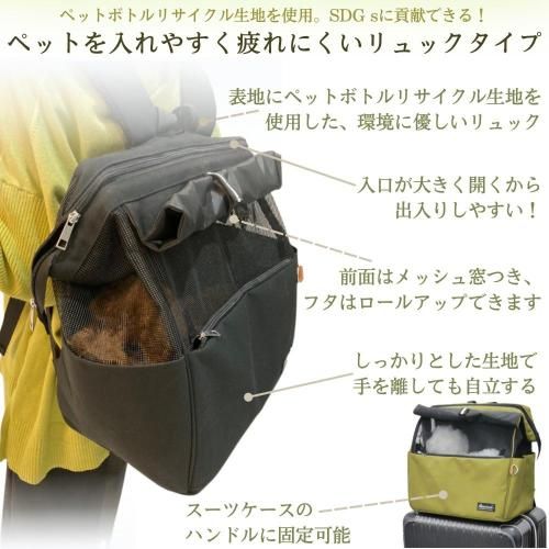 グリーン