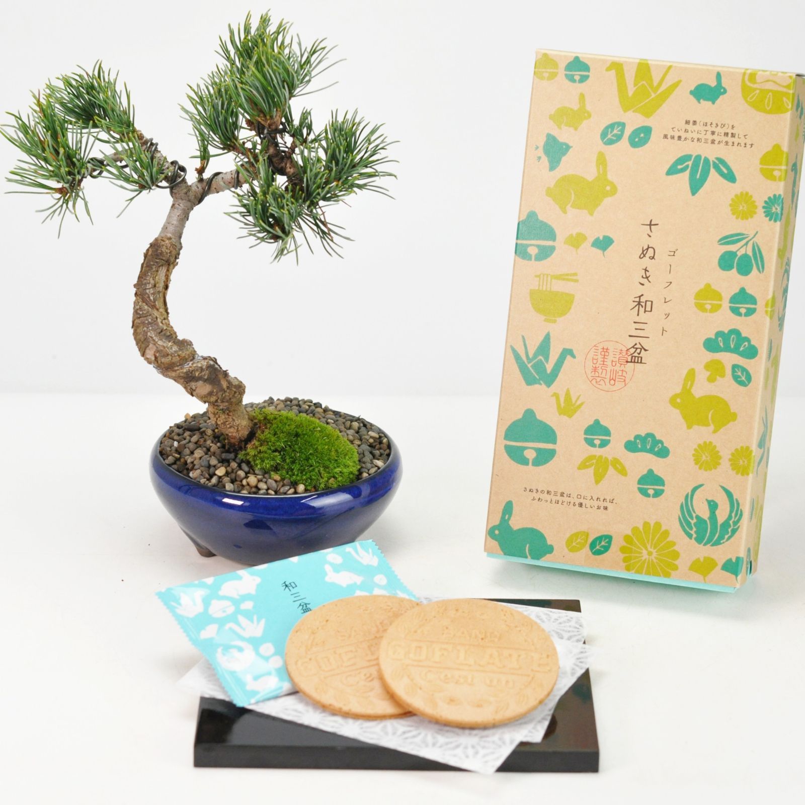 おとひめB1 B2各2kg メダカ の 餌