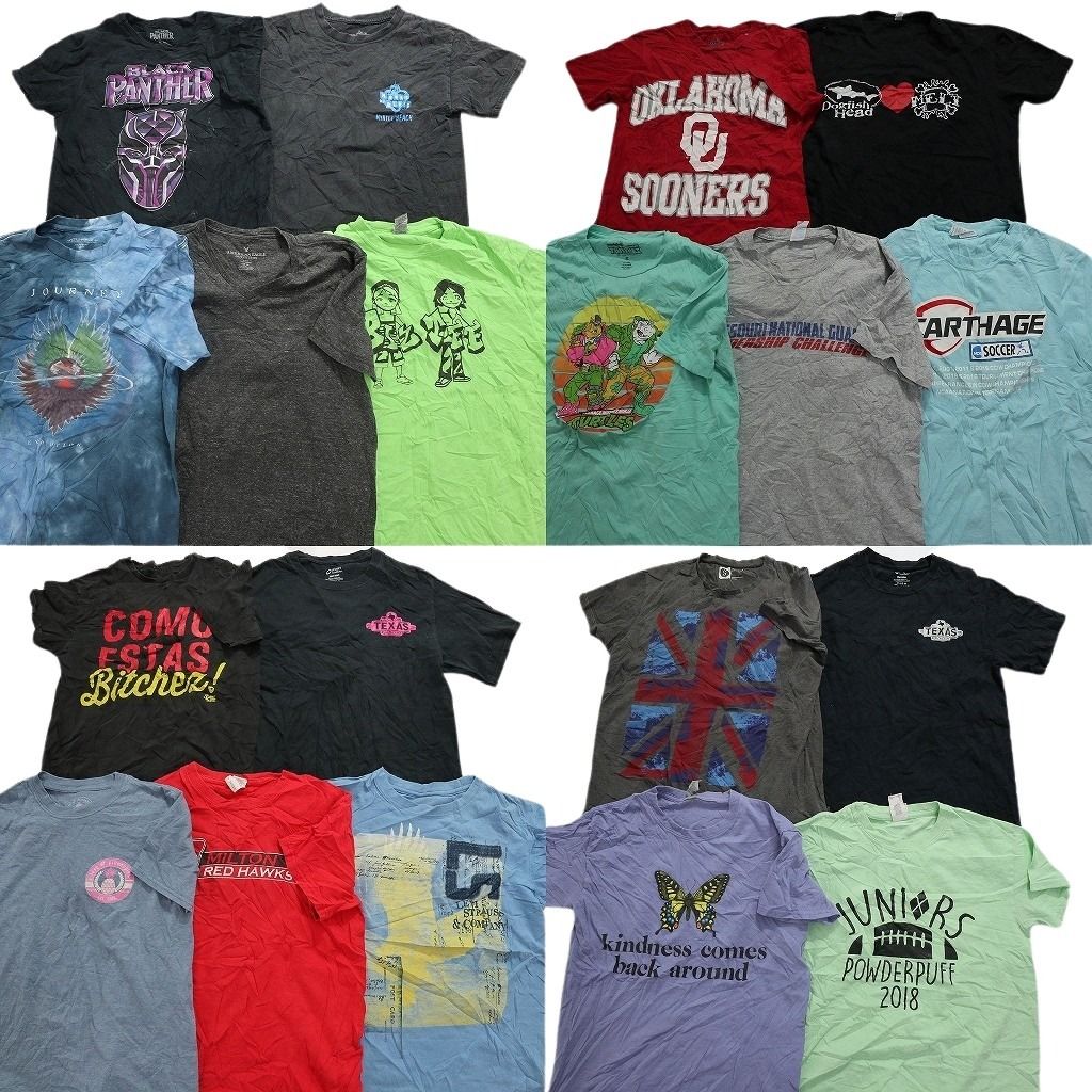 古着卸 まとめ売り カラーmix プリント 半袖Tシャツ 19枚セット (メンズ S ) カレッジ風 ワンポイントロゴ MS4917