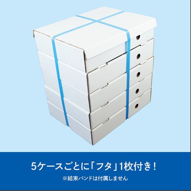 いちご ダンボール 500g×2パック 用 苺 ケース 段ボール 箱 梱包 出荷