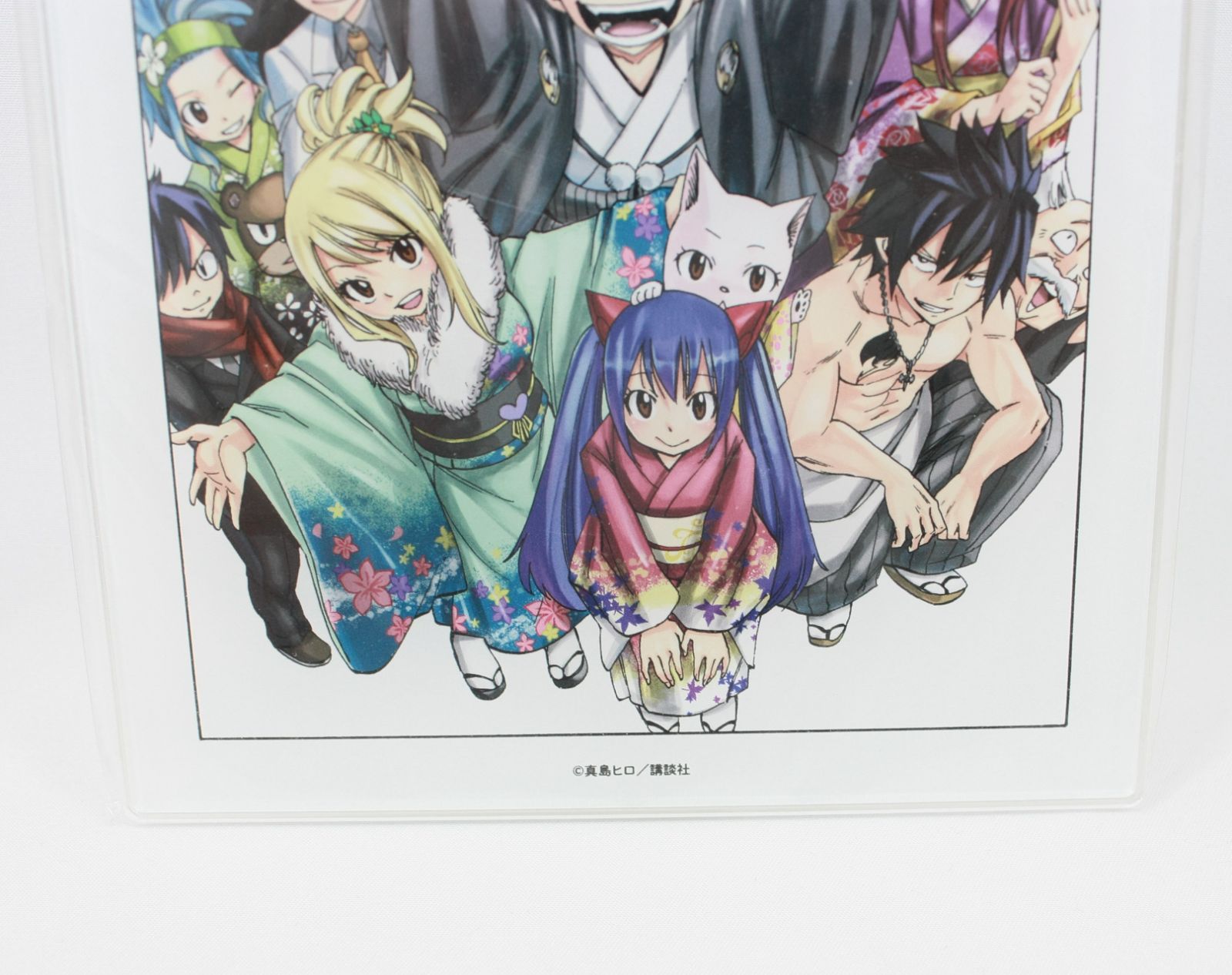 1428・FAIRYTAIL フェアリーテイル 原作絵アクリルパネル5 集合