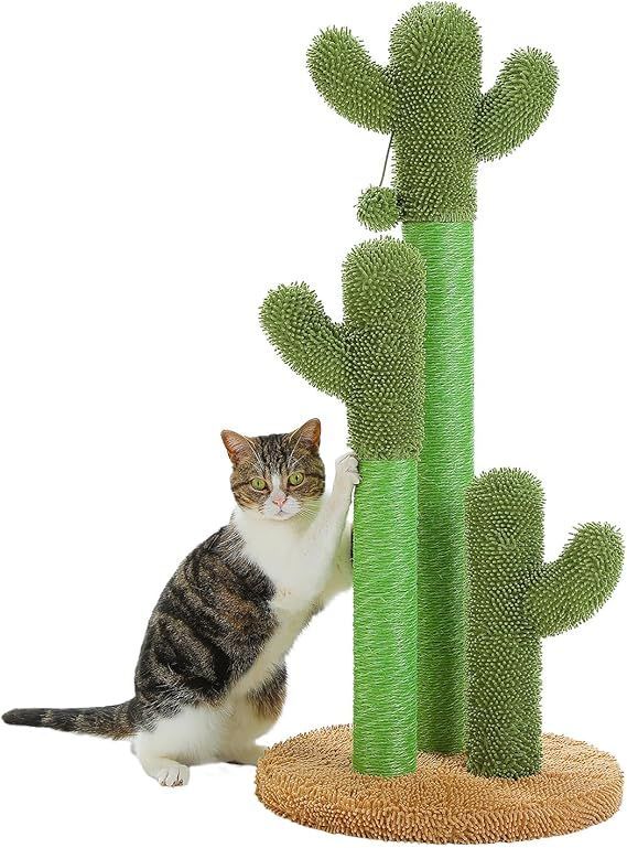 【在庫処分】PAWZ Road 猫 爪研ぎポール サボテン 縦型 かわいい 爪研ぎ つめとぎ ネコ おもちゃ キャットタワー ミニ 多頭飼い ケージ用 運動不足 安定 長持ち サイザル麻紐 組立簡単 - 高さ 85c
