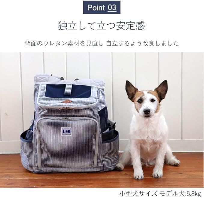 キャリー Lee