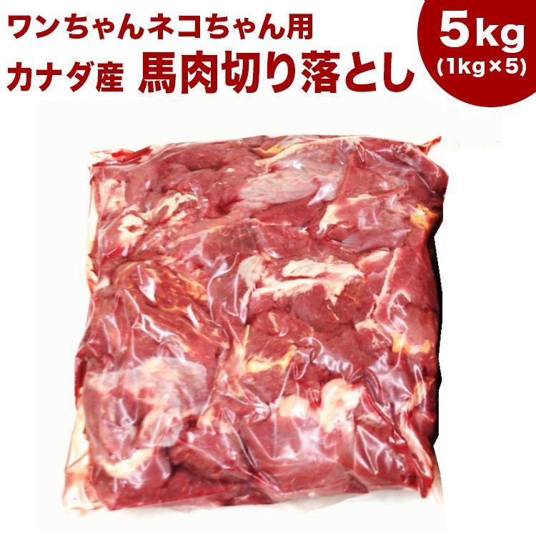 送料込 同梱包不可《業務用簡易パック》カナダ産馬肉切り落とし　カタマリ　10kg　1kg×10袋　注意バラ凍結ではございません