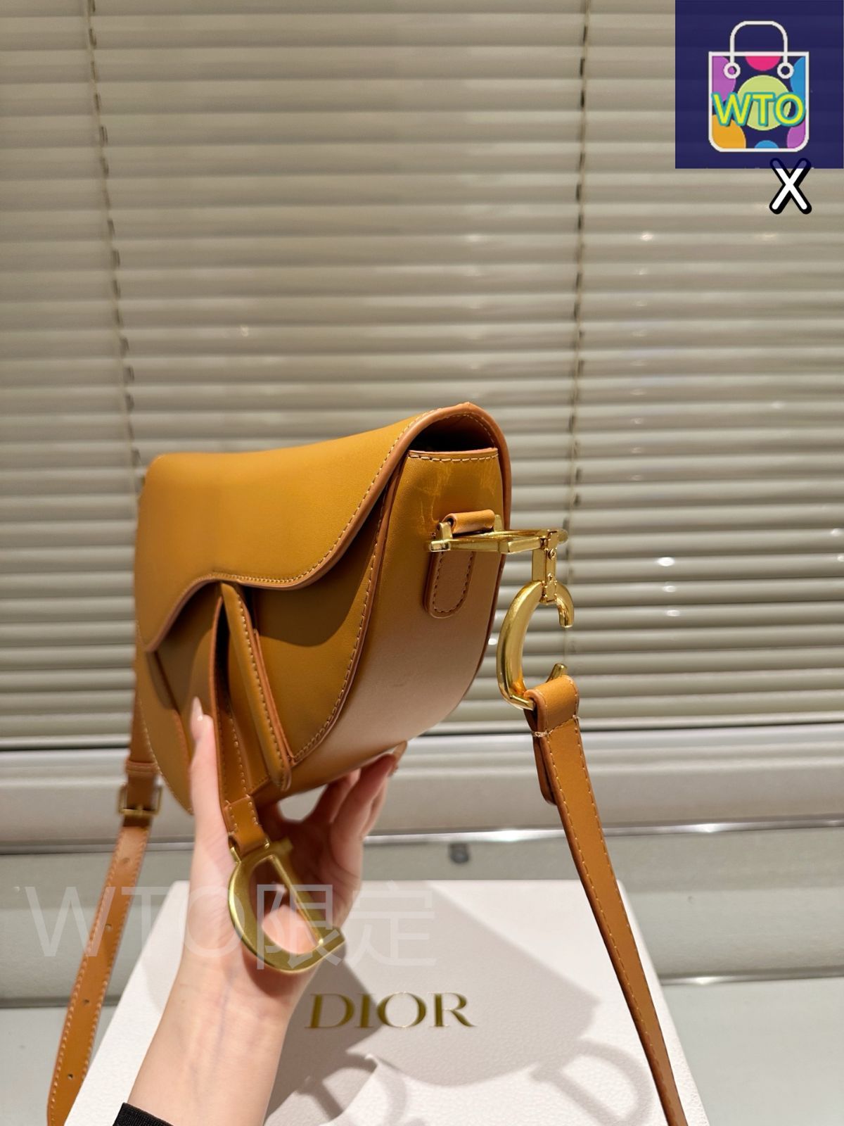 今日 Dior Summer Wave2 Hb ブルースムースカフスキン フラップサドルバッグ-WTO輸入1 DECORATOM_COM_BR