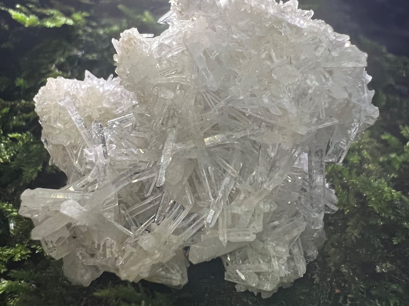 龍脈の精髄 ― クラスター 聖域を生む結晶の調和 宮崎県産 保護猫活動支援