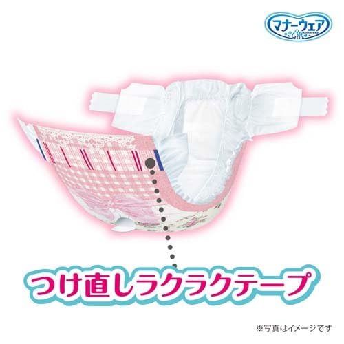 25枚ペット