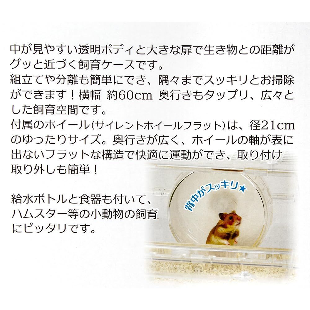 グランスぺース クリアー