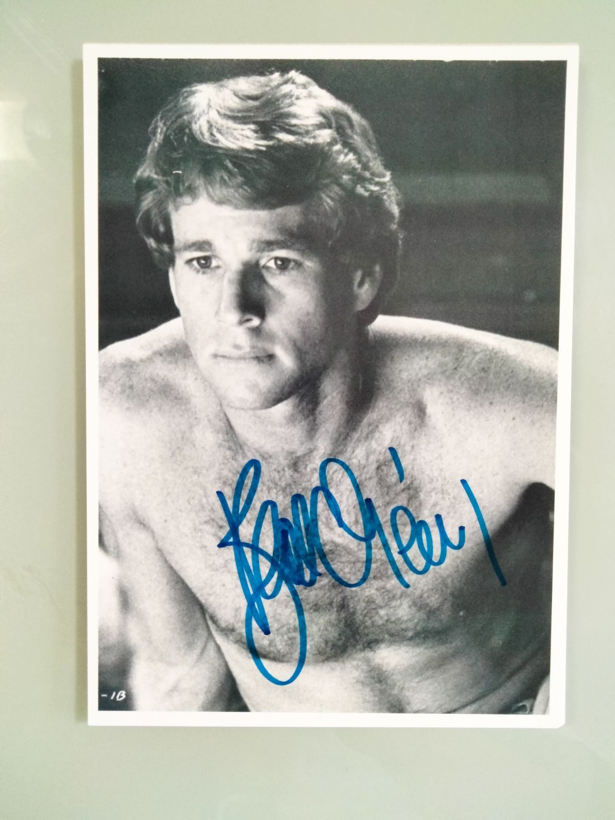 ライアン・オニール直筆サイン入り2Lサイズ写真…Ryan O'Neal…ある愛の詩……